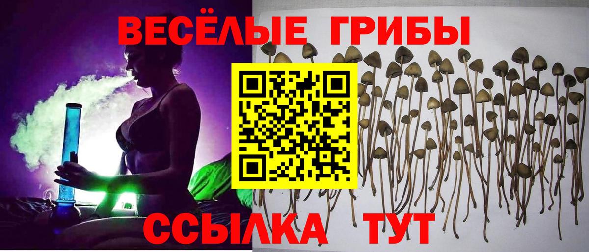 Псилоцибиновые грибы прущие грибы Майский