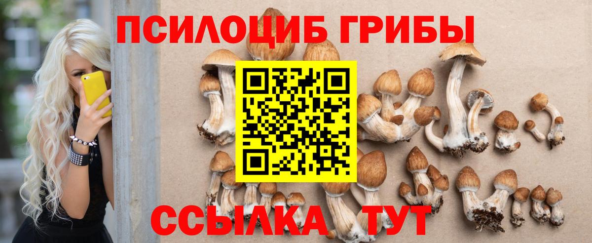Псилоцибиновые грибы Psilocybine cubensis  Вход с VPN  Майский 